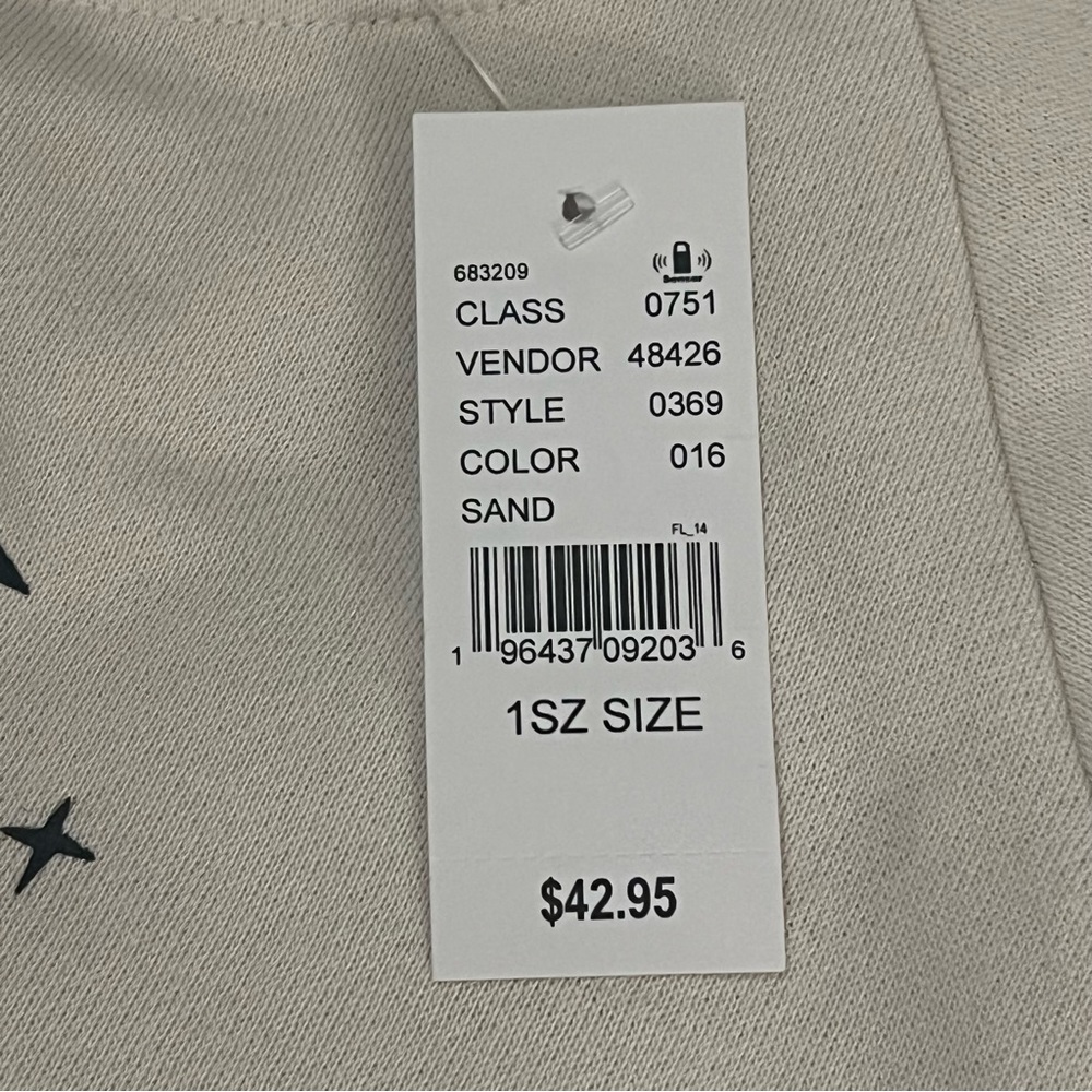 NWY PacSun Desert Dreamer Sun Butterfly Pullover Oversized Sweatshirt - Picture 6 of 8